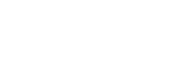 POLIPLAN 1 TO 1